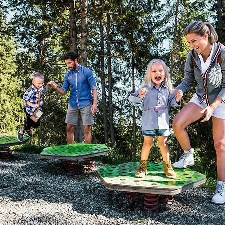 Der Schuetthof 3* Целль-ам-Зеє