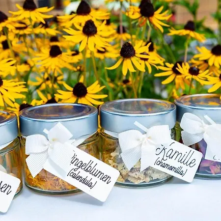 Szálloda Der Schuetthof