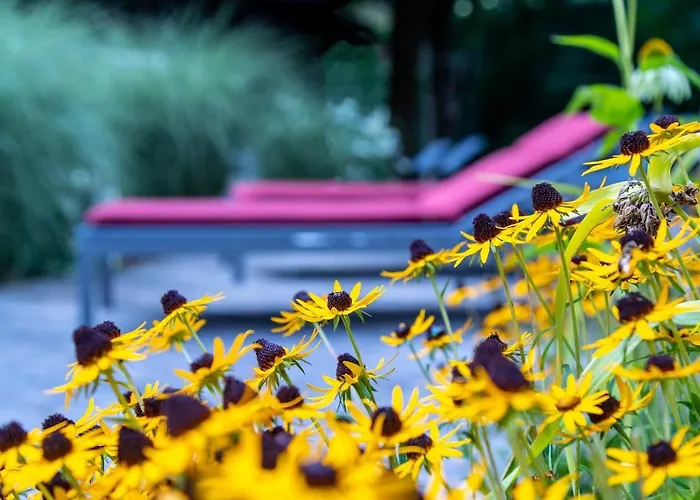 Der Schütthof Hotel 3*